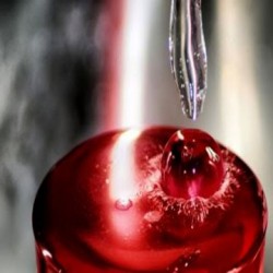 Buy 17.5 kg Red Liquid Mercury Online | Red Liquid Mercury